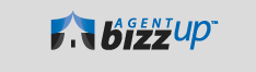Agent BizzUp Solutions, web design and web hosting provider for real estate agents and realtors